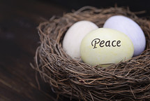the word peace on an Easter egg in a bird's nest 