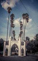Tall palm trees at the Brand Library entrance. 