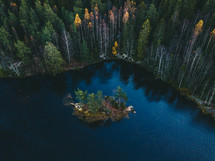 aerial view over a pond in a forest 