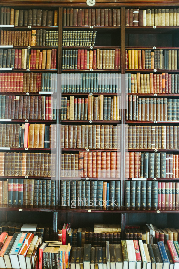 books on a bookshelf 