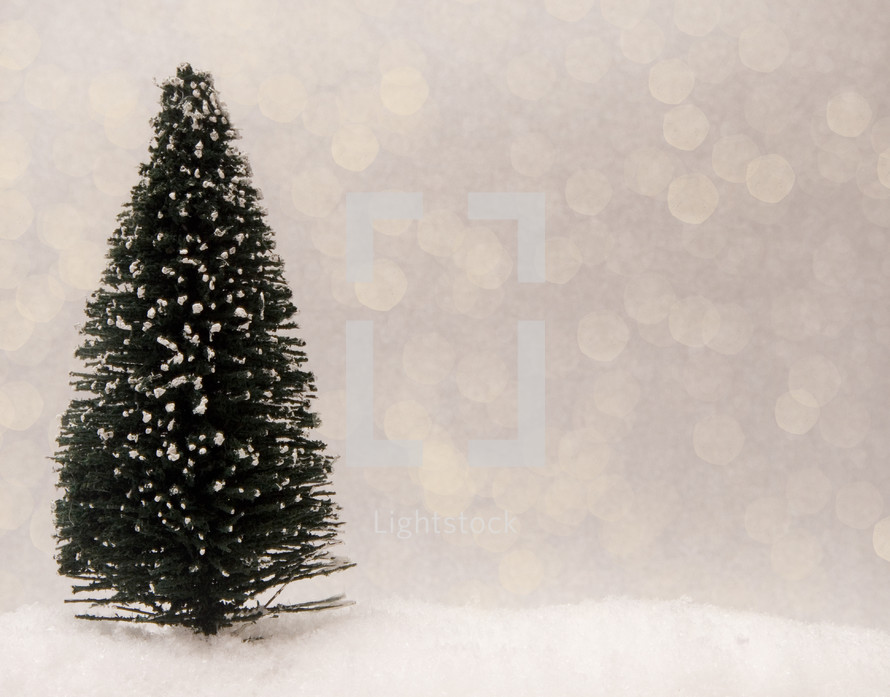 Christmas tree in snow 