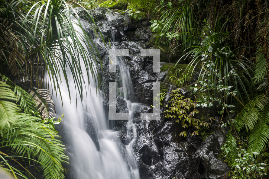 a waterfall in a jungle 