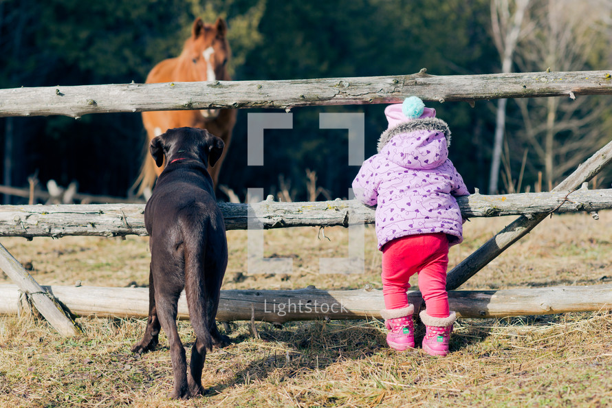 toddler girl and her dog watching horses 