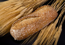 wheat stalks and bread