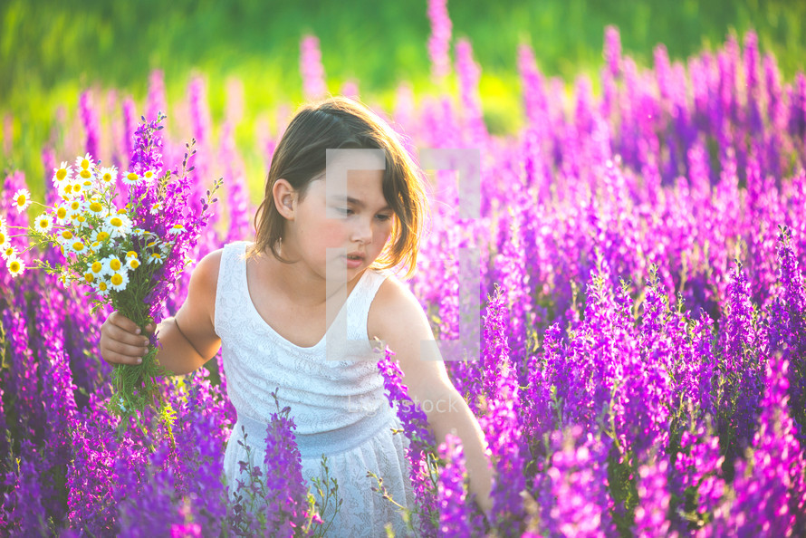a child picking flowers 