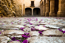 purple flower petals on a cobble stone street 
