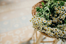 daisies in a basket 