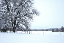 rural winter landscape 