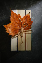 Autumn Dry Leaf On Closed Books Tied Up From Above
