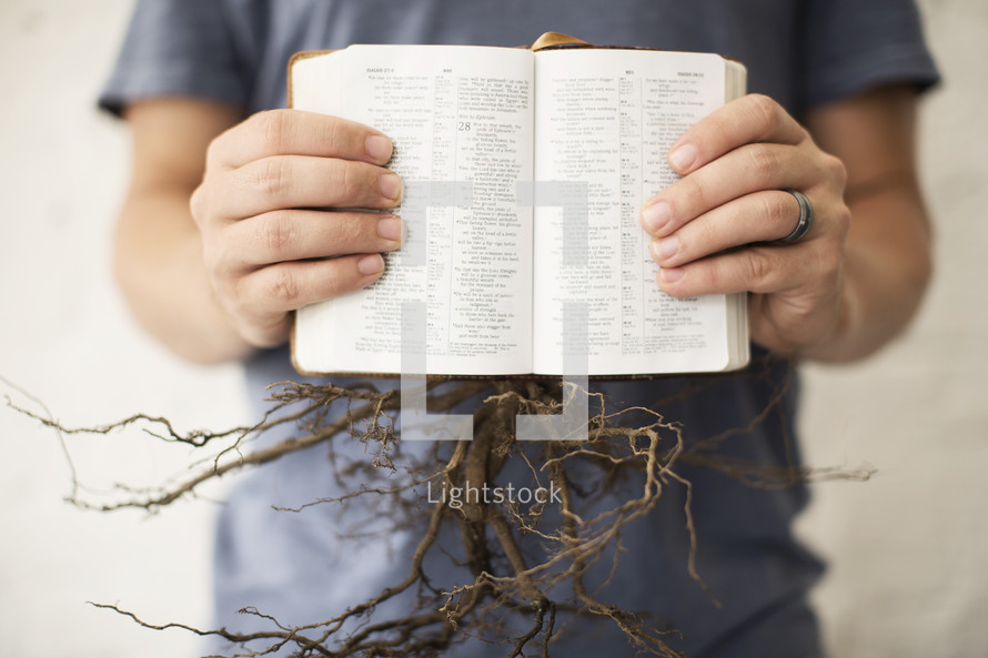 roots of a plant coming out of a Bible against a white background 