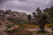 view of modern day Jerusalem 