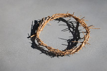 Crown of Thorns with shadow on a grey background