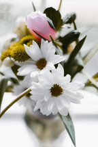 white flowers in a vase 