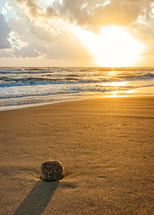a rock on a beach in sand at sunset 