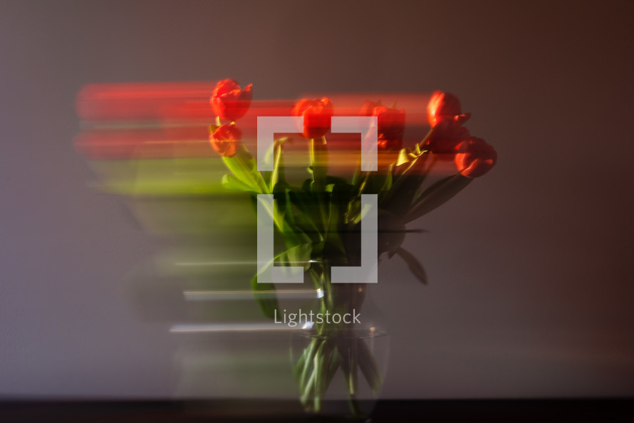 tulips with blur