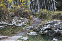 Stair path up hill