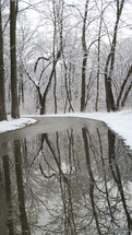 reflection of winter trees on an icy pond 