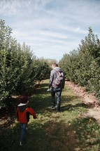 father and son walking in an apple orchard 