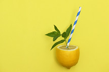 lemonade from lemon 