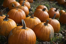 fall pumpkin display 