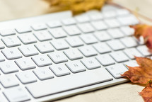 keyboard and fall leaves