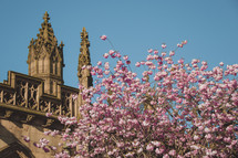 spring trees and church spires 