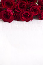 red roses on white background 