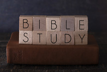 Bible study 