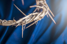 The Crown of Thorns that Jesus Wore on a Blue Background