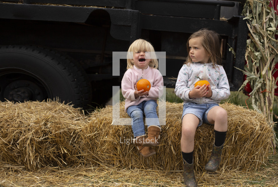 toddlers holding pumpkins 