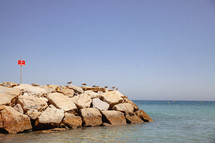 Birds on top of a stone pier