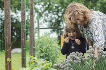 Grandmother and granddaughter together, gardening, while little girl is eating chives.