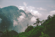 Tree-covered mountains in the clouds.
