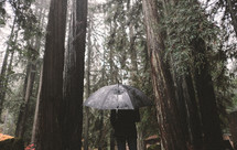 a person standing under an umbrella in a forest 