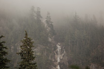 moody and misty waterfall and forest