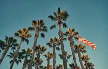 Palm trees and American flag on a flagpole 