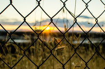 chain linked fence at sunset 