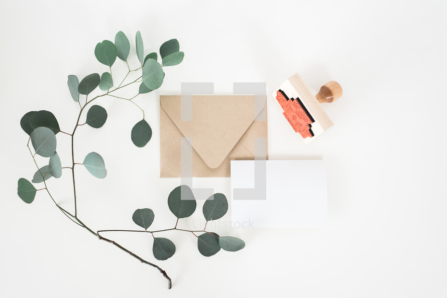 envelope, letter, paper, stamp, and stick with green leaves