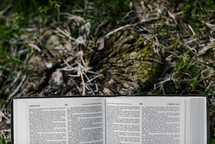 open Bible on the ground 