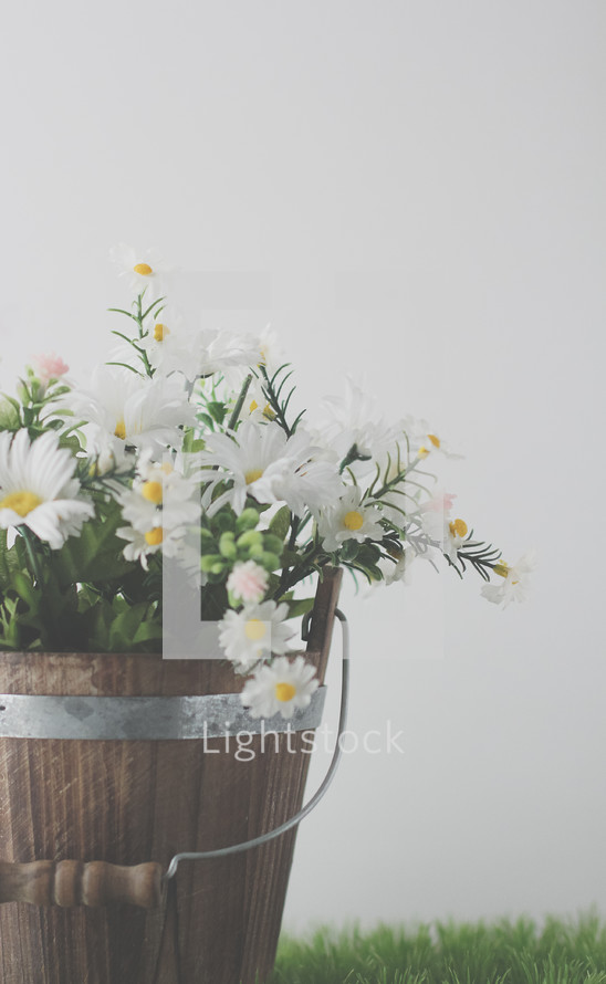 a wooden bucket full of white daisies on green grass