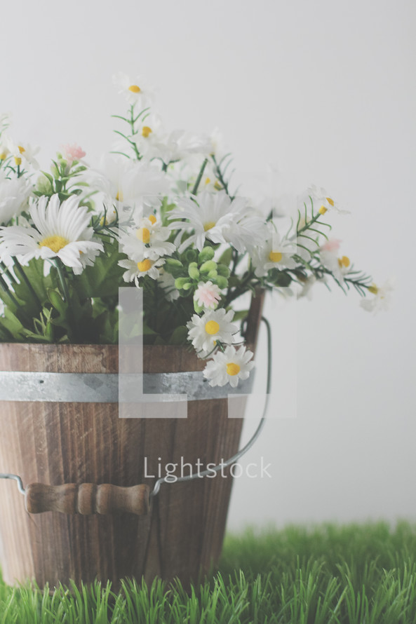 a wooden bucket full of white daisies on green grass 