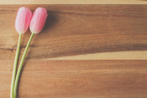 pink tulips on a wood background 