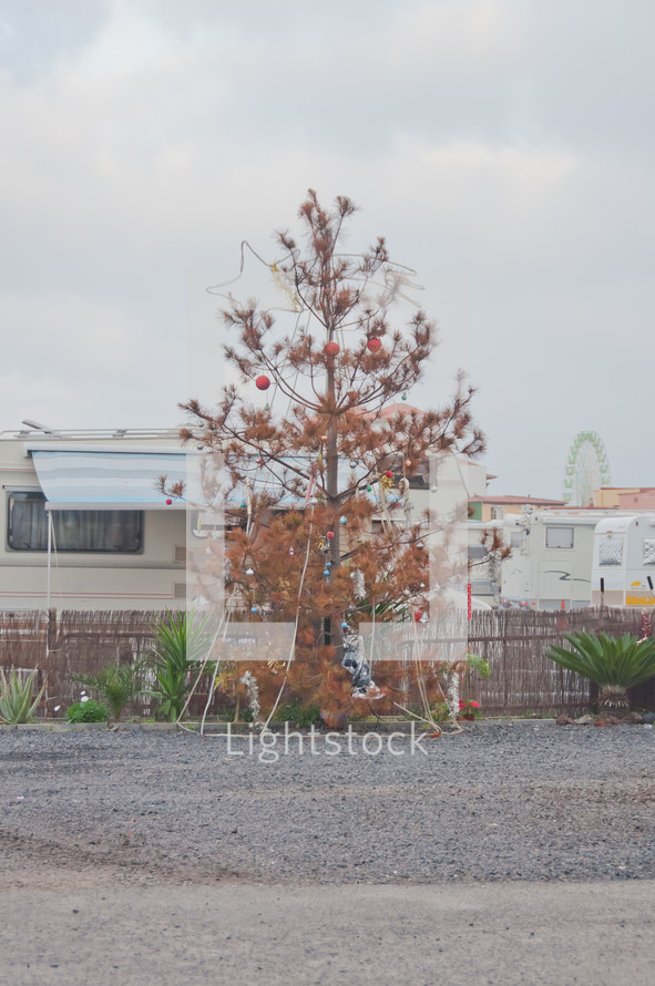 dead decorated Christmas tree in a trailer park in Tenerife, Spain