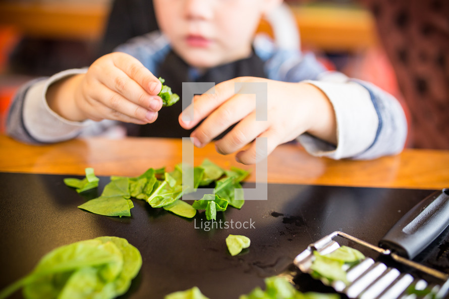 a boy cutting up spinach