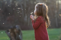 a girl blowing on a dandelion 