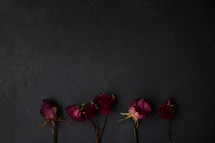dried roses on slate 