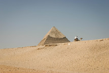  pyramids in Egypt and resting camel 