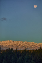 Snowy mountains with winter trees in the forefront and full moon