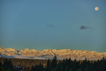 Snowy mountains with winter trees in the forefront and full moon