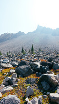 boulders on a mountainside 